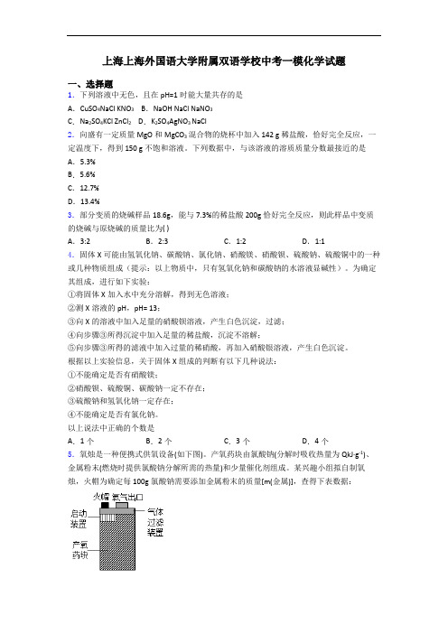 上海上海外国语大学附属双语学校中考一模化学试题