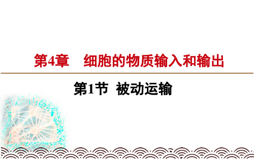 生物必修一：被动运输PPT课件