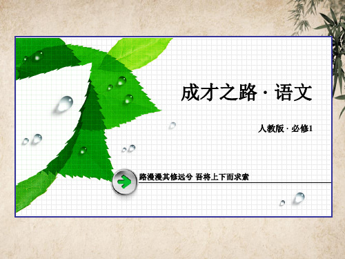 高中语文必修一第四单元ppt(课件+练习+单元总结,打包7份) 人教课标版1