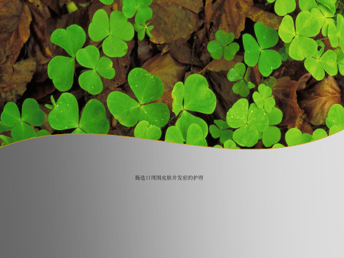 肠造口周围皮肤并发症的护理
