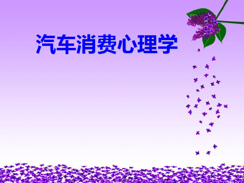 汽车消费心理学课件