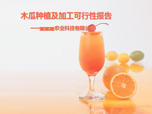 生态木瓜种植可行性报告