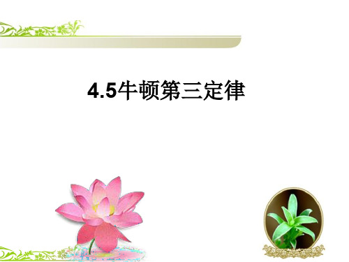 4.5牛顿第三定律课件(共32张PPT)