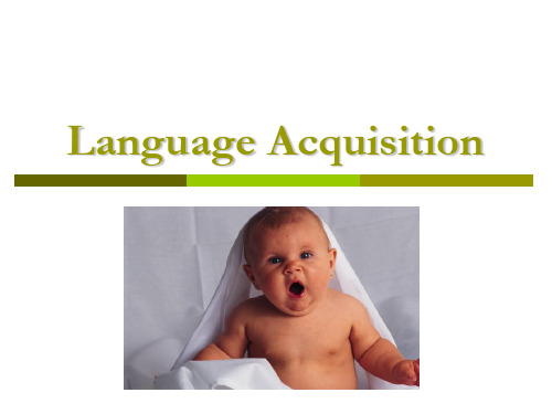 first language acquisition