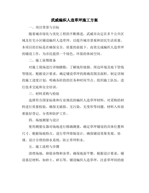 武威编织人造草坪施工方案