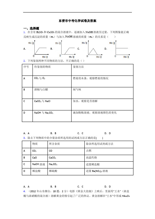 东营市中考化学试卷及答案