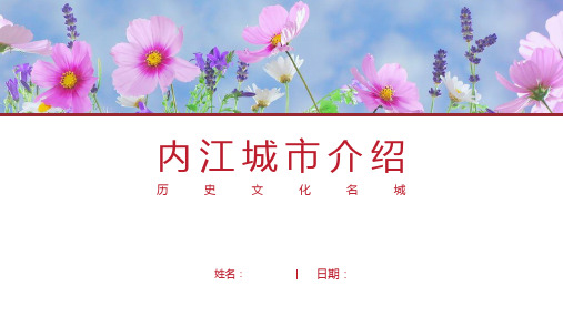 内江介绍-内江简介PPT(经典版)