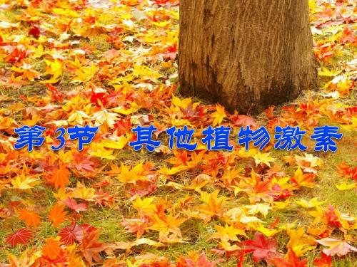 第三章 第3节 其他植物激素