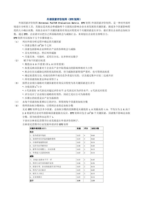 EFE Matrix