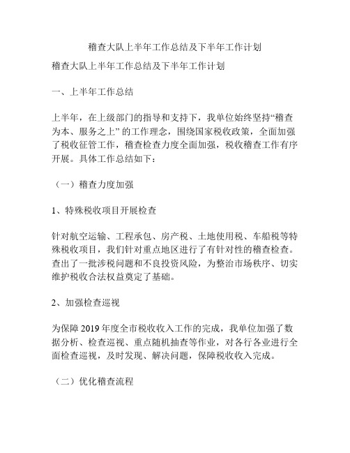 稽查大队上半年工作总结及下半年工作计划