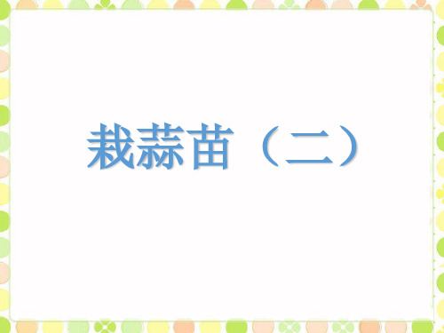 北师大版四年级下册数学《栽蒜苗(二)》课件