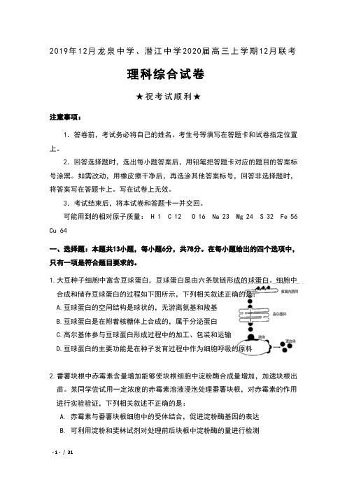 2019年12月湖北省龙泉中学、潜江中学2020届高三上学期12月联考理科综合试卷及答案