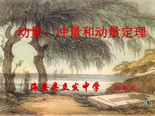 高考物理动量冲量动量定理2