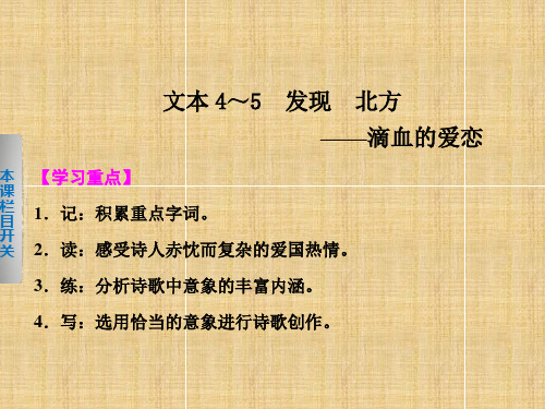 【学案导学设计】高中语文 专题一 发现 北方名师课件 苏教版必修3