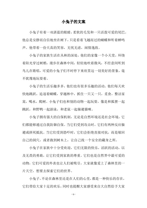 小兔子的文案