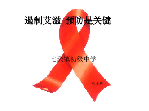 冀教版九年级全一册体育与健康《预防艾滋病》(一等奖课件)