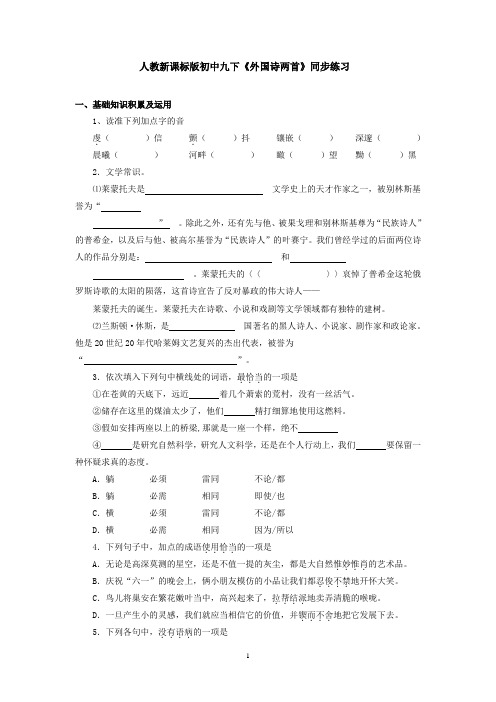 人教新课标版初中九下《外国诗两首》同步练习