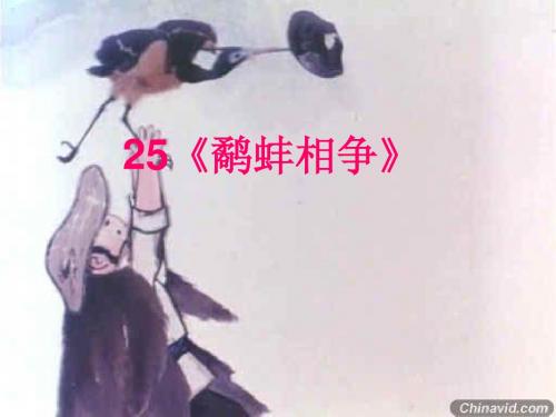 鹬蚌相争课件.ppt