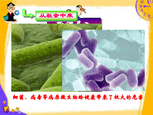 生物选修2;第1节 抗生素的合理使用(人教版)