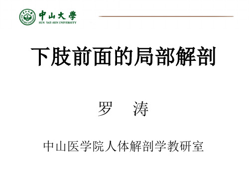 《局部解剖学》教学课件：3-下肢前面