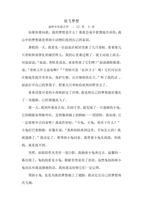 放飞梦想.doc王浩  温岭新起点