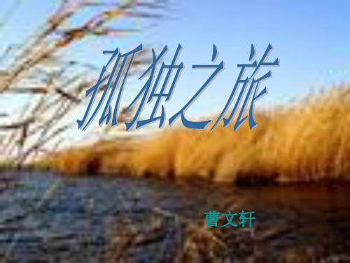 人教版九年级语文上册课件：3.10孤独之旅 (共12张PPT)