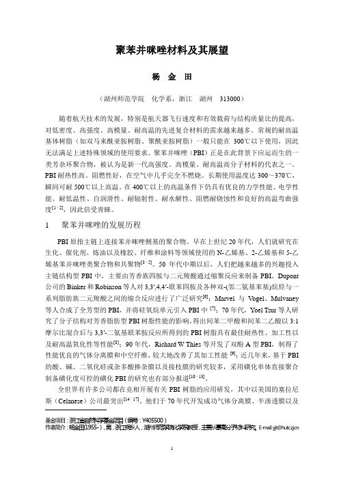 聚苯并咪唑材料及其展望