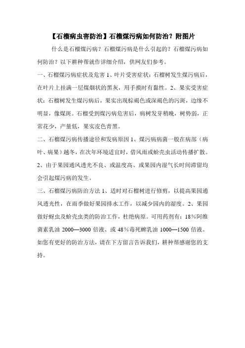 【石榴病虫害防治】石榴煤污病如何防治？附图片