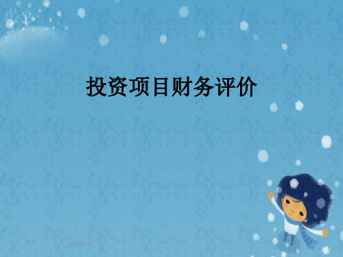 投资项目财务评价