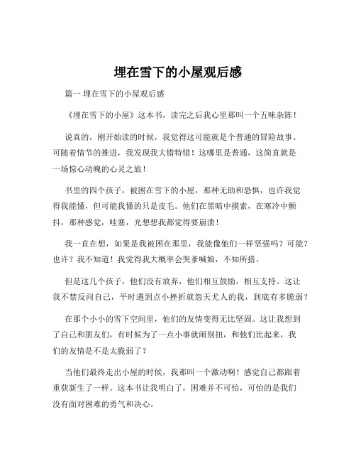 埋在雪下的小屋观后感