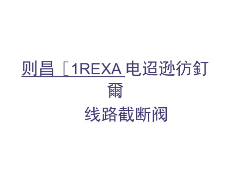 REXA开关型电液执行机构