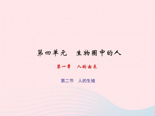 七年级生物下册第四单元第一章第二节人的生殖习题课件(新版)新人教版