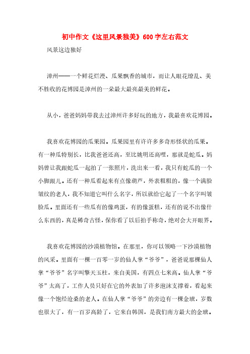 初中作文《这里风景独美》600字左右范文