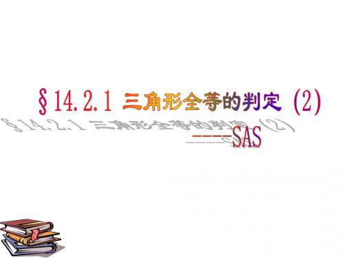 14.2全等三角形的判定(2)