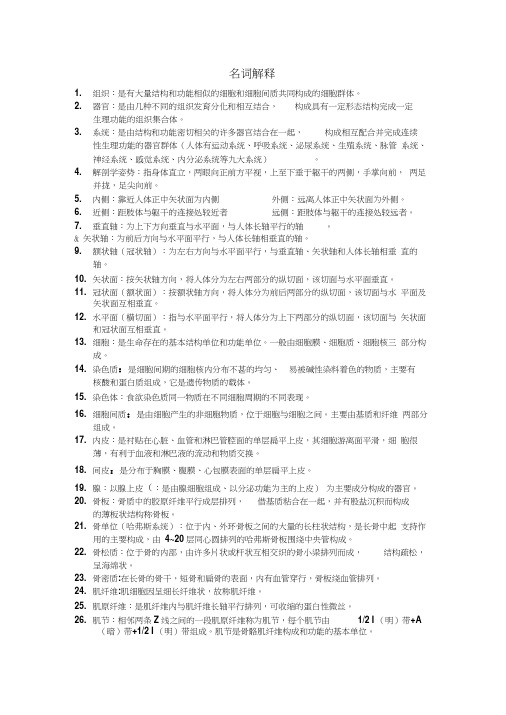 解剖10版名词解释