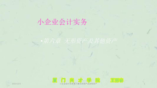 小企业会计实务第六章无形资产及其他资产课件