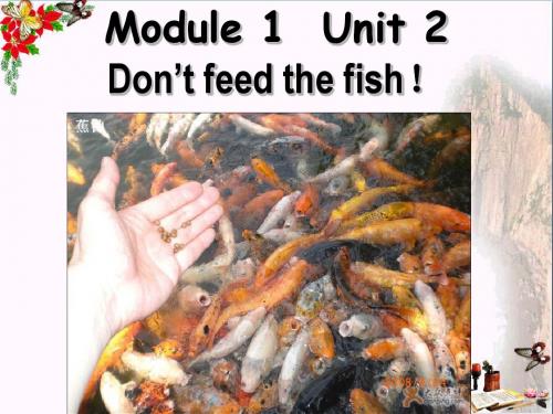 四年级英语下册Module1Unit2《Don’tfeedthefish》 优秀课件5(新版)外研版(一起)