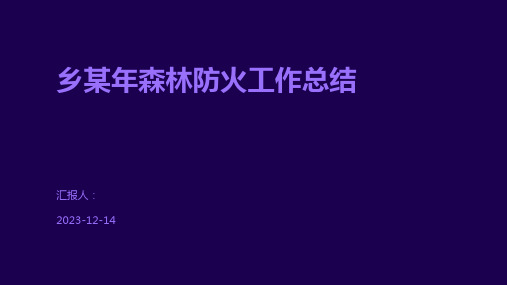乡某年森林防火工作总结