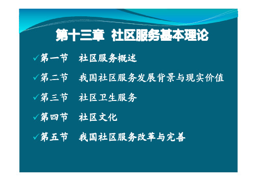 13第十三章  社区服务基本理论