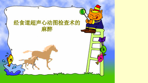 经食道超声心动图检查术的麻醉共39页