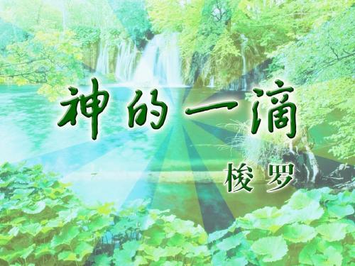 【高中语文】神的一滴ppt精品课件349(2份)