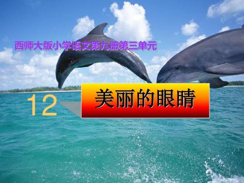 五年级语文上册第三单元美丽的眼睛PPT课件1西师大版