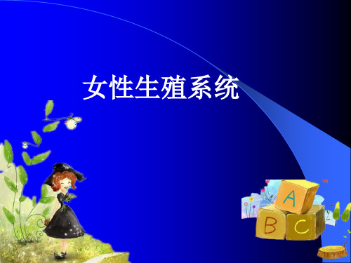 女性生殖系统ppt课件