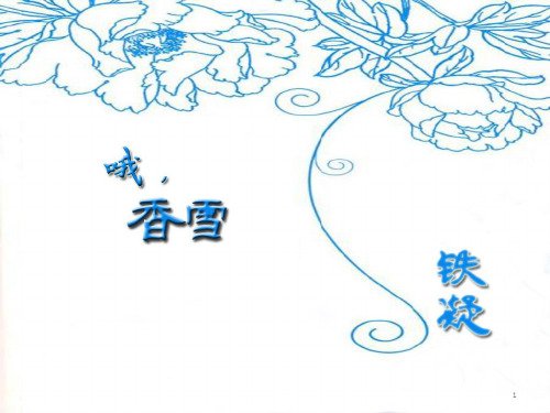 2哦香雪PPT课件
