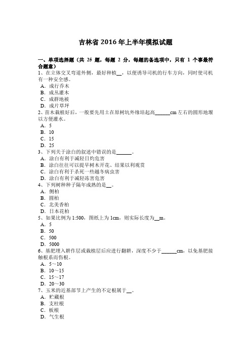吉林省2016年上半年模拟试题