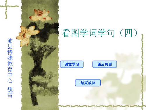 柏树 松树.ppt