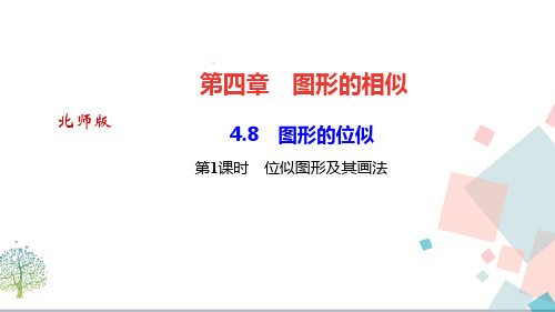 【优质】初三九年级上册《图形的位似第课时位似图形及其画法》ppt课件