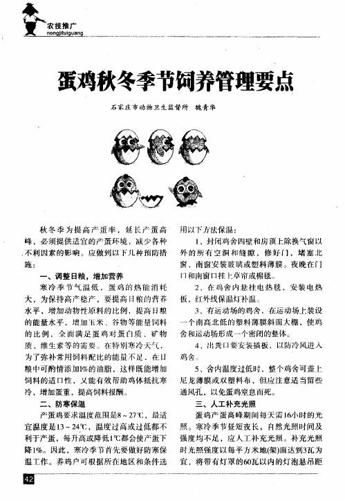 蛋鸡秋冬季节饲养管理要点