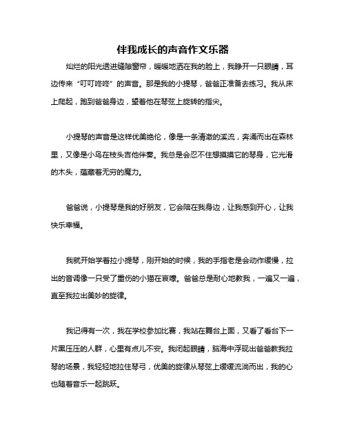 伴我成长的声音作文乐器