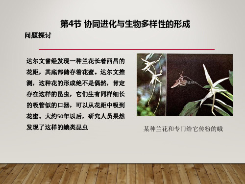 (新教材)协同进化与生物多样性的形成ppt优秀课件人教版1